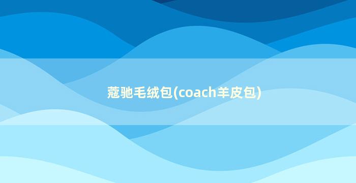 蔻驰毛绒包(coach羊皮包)