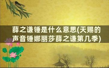 薛之谦锤是什么意思(天赐的声音锤娜丽莎薛之谦第几季)