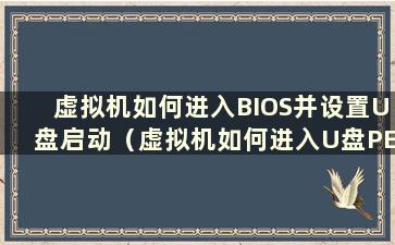 虚拟机如何进入BIOS并设置U盘启动（虚拟机如何进入U盘PE系统）