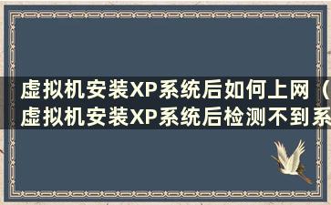 虚拟机安装XP系统后如何上网（虚拟机安装XP系统后检测不到系统）