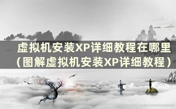 虚拟机安装XP详细教程在哪里（图解虚拟机安装XP详细教程）