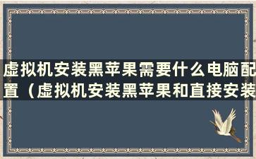 虚拟机安装黑苹果需要什么电脑配置（虚拟机安装黑苹果和直接安装黑苹果的区别）