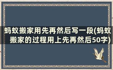 蚂蚁搬家用先再然后写一段(蚂蚁搬家的过程用上先再然后50字)