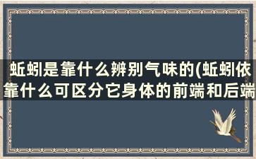 蚯蚓是靠什么辨别气味的(蚯蚓依靠什么可区分它身体的前端和后端)