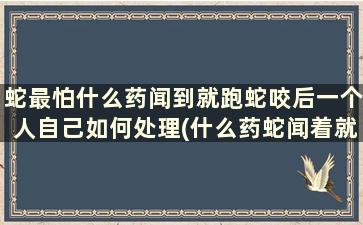 蛇最怕什么药闻到就跑蛇咬后一个人自己如何处理(什么药蛇闻着就走)