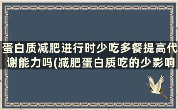 蛋白质减肥进行时少吃多餐提高代谢能力吗(减肥蛋白质吃的少影响减肥吗)