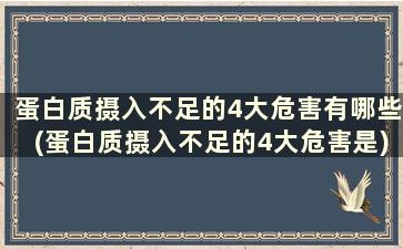 蛋白质摄入不足的4大危害有哪些(蛋白质摄入不足的4大危害是)