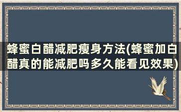 蜂蜜白醋减肥瘦身方法(蜂蜜加白醋真的能减肥吗多久能看见效果)