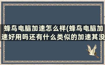 蜂鸟电脑加速怎么样(蜂鸟电脑加速好用吗还有什么类似的加速其没有)