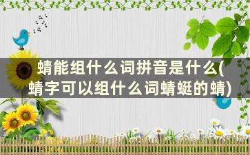 蜻能组什么词拼音是什么(蜻字可以组什么词蜻蜓的蜻)