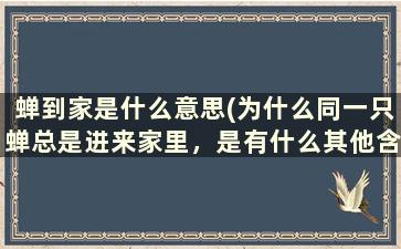 蝉到家是什么意思(为什么同一只蝉总是进来家里，是有什么其他含义么)