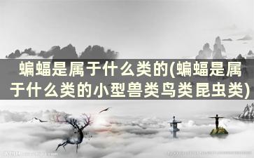 蝙蝠是属于什么类的(蝙蝠是属于什么类的小型兽类鸟类昆虫类)