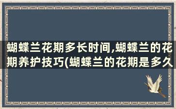 蝴蝶兰花期多长时间,蝴蝶兰的花期养护技巧(蝴蝶兰的花期是多久还会再发芽吗)