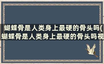 蝴蝶骨是人类身上最硬的骨头吗(蝴蝶骨是人类身上最硬的骨头吗视频)