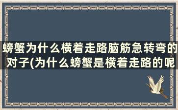 螃蟹为什么横着走路脑筋急转弯的对子(为什么螃蟹是横着走路的呢)