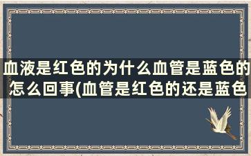 血液是红色的为什么血管是蓝色的怎么回事(血管是红色的还是蓝色的)