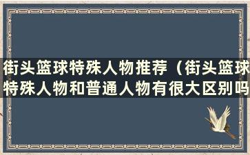 街头篮球特殊人物推荐（街头篮球特殊人物和普通人物有很大区别吗）