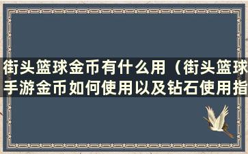 街头篮球金币有什么用（街头篮球手游金币如何使用以及钻石使用指南）