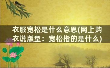 衣服宽松是什么意思(网上购衣说版型：宽松指的是什么)