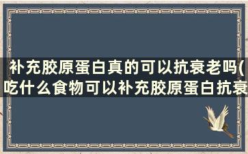 补充胶原蛋白真的可以抗衰老吗(吃什么食物可以补充胶原蛋白抗衰老)