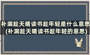 补漏趁天晴读书趁年轻是什么意思(补漏趁天晴读书趁年轻的意思)