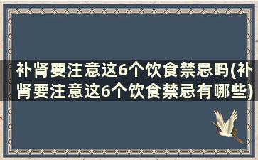 补肾要注意这6个饮食禁忌吗(补肾要注意这6个饮食禁忌有哪些)