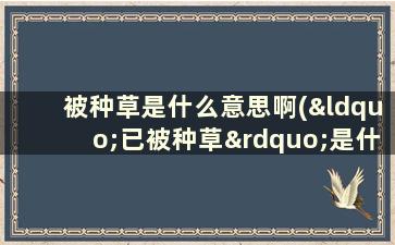 被种草是什么意思啊(“已被种草”是什么意思)