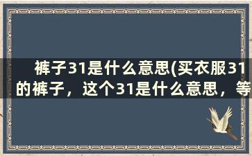 裤子31是什么意思(买衣服31的裤子，这个31是什么意思，等于多少厘米)