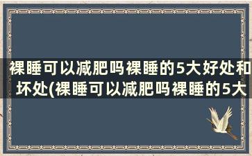 裸睡可以减肥吗裸睡的5大好处和坏处(裸睡可以减肥吗裸睡的5大好处有哪些)