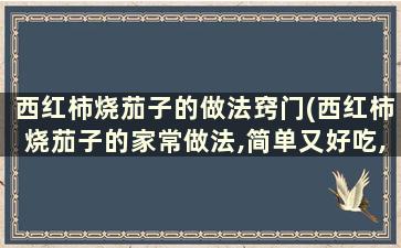 西红柿烧茄子的做法窍门(西红柿烧茄子的家常做法,简单又好吃,米饭多吃好几碗!)