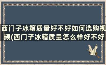 西门子冰箱质量好不好如何选购视频(西门子冰箱质量怎么样好不好)