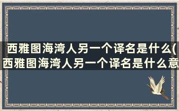 西雅图海湾人另一个译名是什么(西雅图海湾人另一个译名是什么意思)