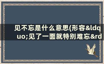 见不忘是什么意思(形容“见了一面就特别难忘”的诗词有哪些)