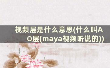 视频层是什么意思(什么叫AO层(maya视频听说的))