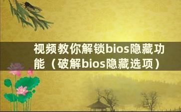 视频教你解锁bios隐藏功能（破解bios隐藏选项）