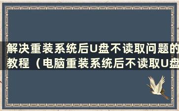 解决重装系统后U盘不读取问题的教程（电脑重装系统后不读取U盘）