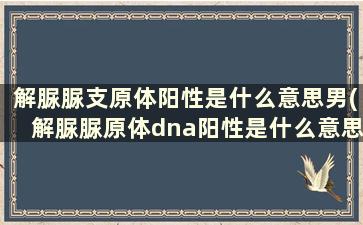 解脲脲支原体阳性是什么意思男(解脲脲原体dna阳性是什么意思)