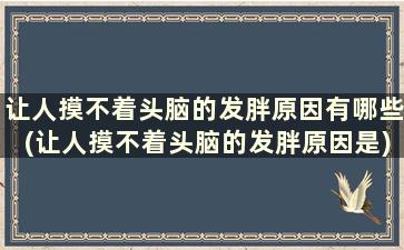 让人摸不着头脑的发胖原因有哪些(让人摸不着头脑的发胖原因是)