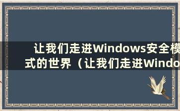 让我们走进Windows安全模式的世界（让我们走进Windows安全模式的世界）