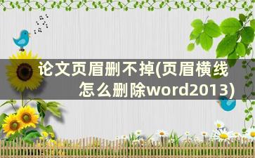 论文页眉删不掉(页眉横线怎么删除word2013)