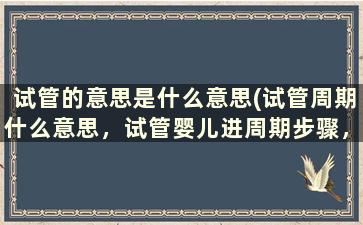 试管的意思是什么意思(试管周期什么意思，试管婴儿进周期步骤，试管婴儿周期)