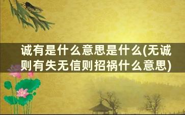 诚有是什么意思是什么(无诚则有失无信则招祸什么意思)