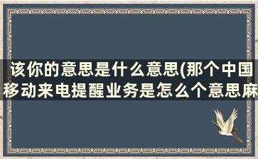 该你的意思是什么意思(那个中国移动来电提醒业务是怎么个意思麻烦知道的解释一下)