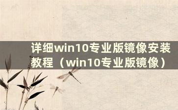 详细win10专业版镜像安装教程（win10专业版镜像）