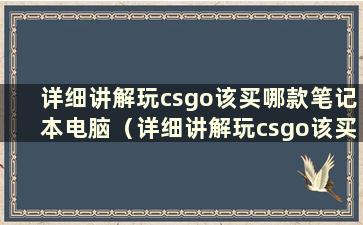 详细讲解玩csgo该买哪款笔记本电脑（详细讲解玩csgo该买哪款笔记本电脑）