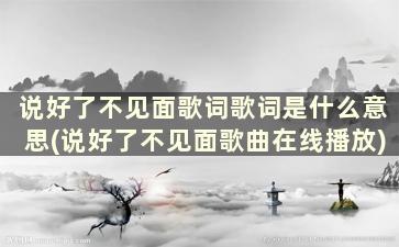 说好了不见面歌词歌词是什么意思(说好了不见面歌曲在线播放)