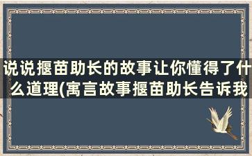 说说揠苗助长的故事让你懂得了什么道理(寓言故事揠苗助长告诉我们什么道理)