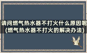 请问燃气热水器不打火什么原因呢(燃气热水器不打火的解决办法)