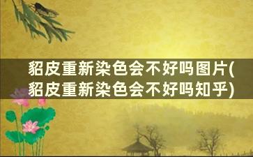 貂皮重新染色会不好吗图片(貂皮重新染色会不好吗知乎)