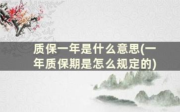 质保一年是什么意思(一年质保期是怎么规定的)